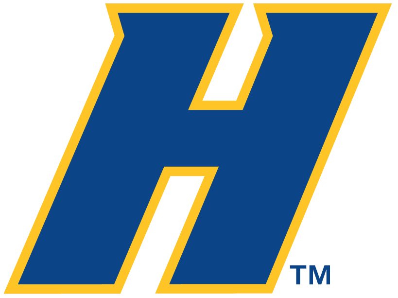 Hofstra Pride 2005-Pres Alternate Logo DIY iron on transfer (heat transfer)